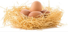 alimentomelhor.com.irritação-acabe-com-ela-com-alimentação-saudavel-ovos
